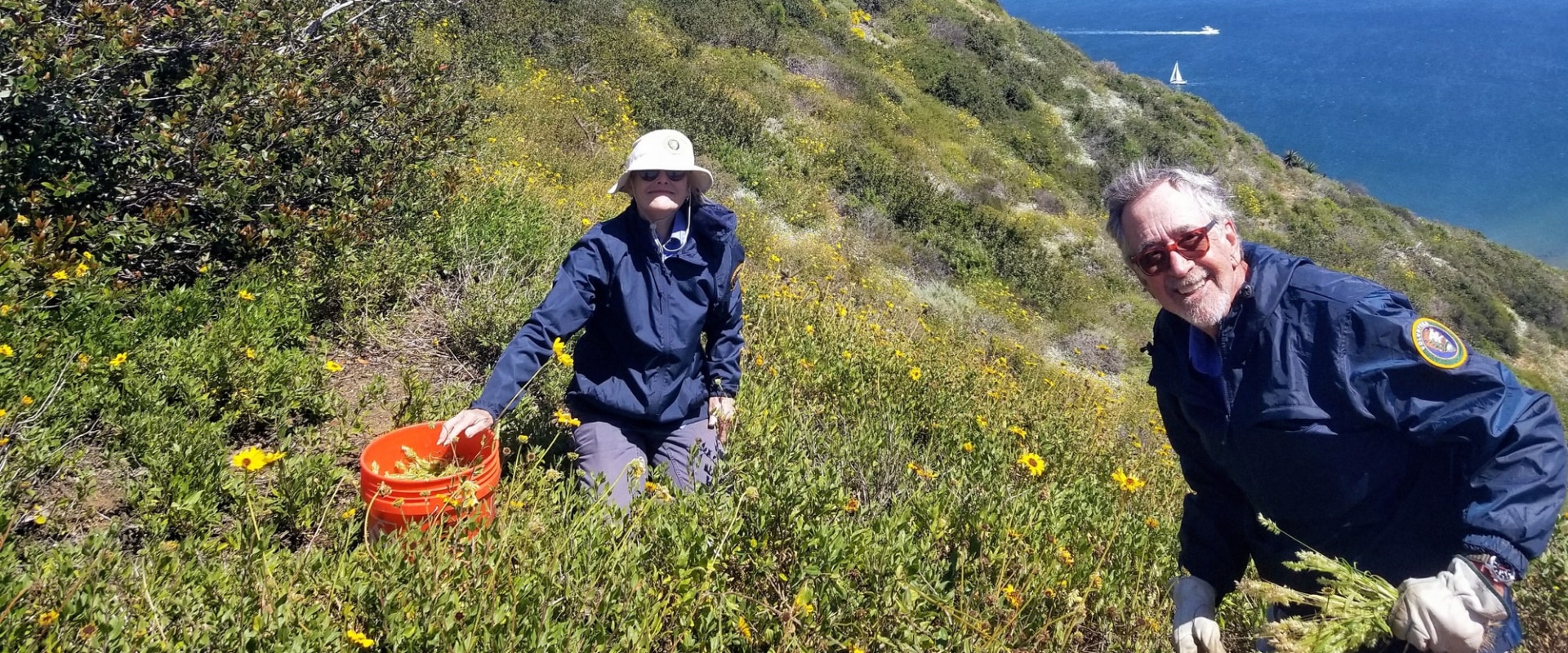 Making a Difference: How to Get Involved with Community Services in San Diego, CA
