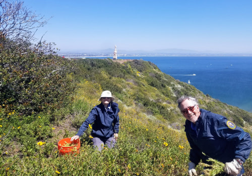 The Power of Volunteering: Exploring Community Services in San Diego, CA